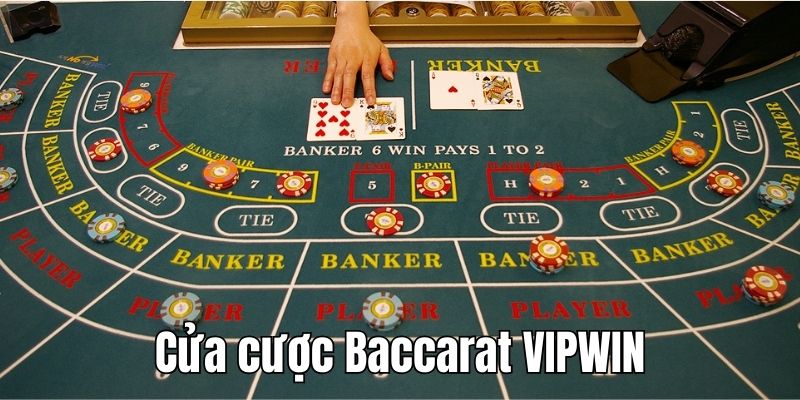 Thống kê các cửa cược game bài Baccarat