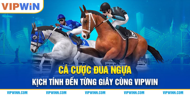 Cá Cược Đua Ngựa - Kịch Tính Đến Từng Giây Cùng VIPWIN